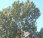 Click for large version