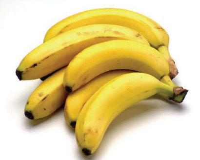 bunch of bananas. It turned out to be both extremely interesting and rather 